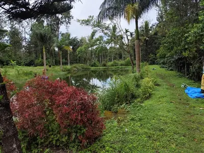 a pond in a park with trees and plants at Rising Surya Homestay in Kushālnagar