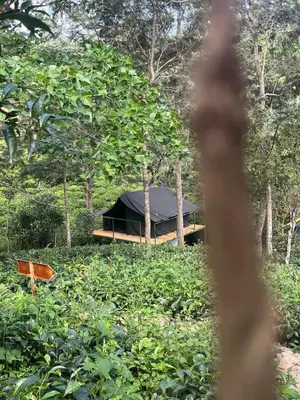a building with a black roof in the middle of a forest at Organic Farmers Tent & Trekking in Yedapalli