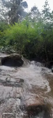 a river with rocks and trees in the background at Organic Farmers Tent & Trekking in Yedapalli
