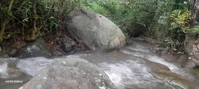 a stream of water with rocks and trees at Organic Farmers Tent & Trekking in Yedapalli