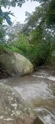 a river with a large rock in the middle at Organic Farmers Tent & Trekking in Yedapalli