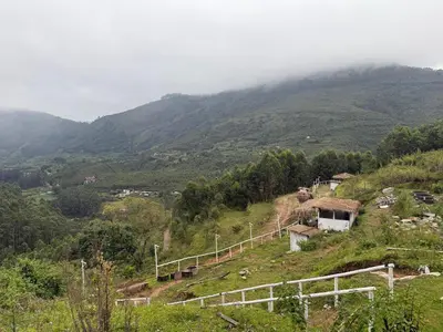 Gallery image of Mystic Valley Vattavada in Vattavada