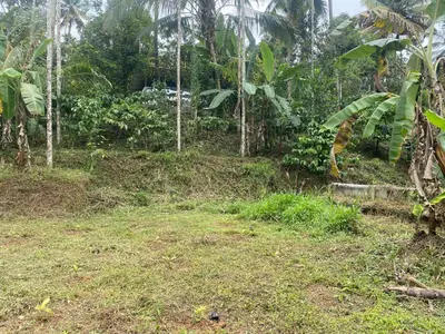 a dirt road in the middle of a forest at ARAVON Homes in Meenangadi