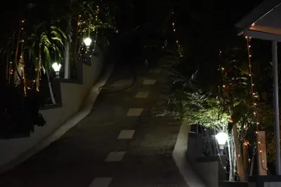 an empty street at night with palm trees and lights at South point homestay in Virajpet