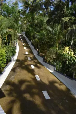 a road lined with trees and signs in a park at South point homestay in Virajpet