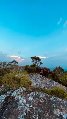 a large rock with grass on top of it at Wayanad Camping in Ambalavayal