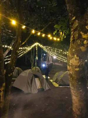 a group of tents under a string of lights at Wayanad Camping in Ambalavayal