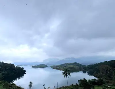 a view of a lake with a palm tree at Gcc Saffron in Wayanad