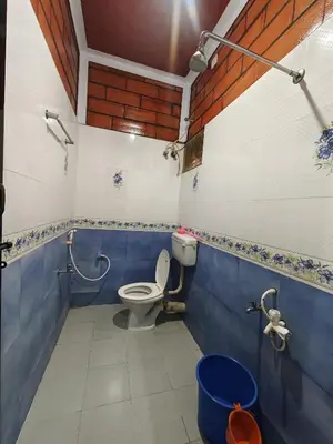 a bathroom with a toilet and a blue and white wall at Nasmat Resort in Masinagudi