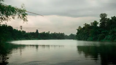 a view of a river with trees in the background at Vanantara - Riverside Eco Retreat in Ernakulam