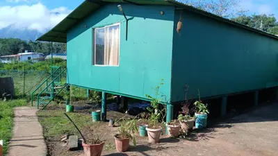 a blue house with potted plants in front of it at BeingWild Resort in Masinagudi