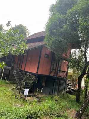 a house with a staircase in front of it at Apricot Cottage in Kozhikode