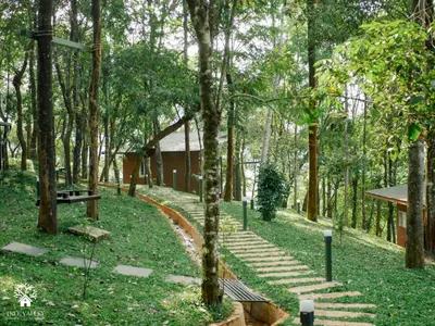 a path in a park with trees and a building at Tree Valley Resort Wayanad in Meppādi