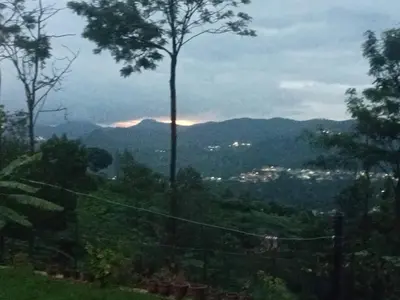 a view of a valley with trees and mountains at Cherry Blossom in Kotagiri