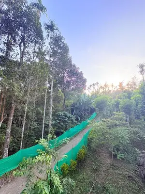 a long green fence in the middle of a forest at sahara dua jungle farmstay in Wayanad