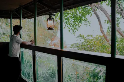 a man standing on a balcony looking out at the trees at Cybele Hill Resort in Kalpetta
