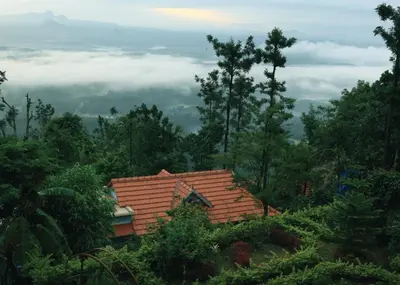 a house in the middle of a forest of trees at Cybele Hill Resort in Kalpetta
