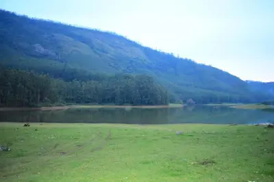 a field with a lake and a mountain at Brindavan Lake Resort in Munnar