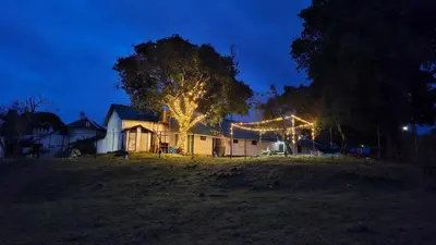 a house with a tree with lights on it at night at Balacalava Guest House in Coonoor