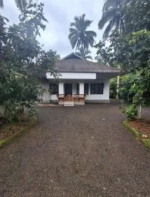 a small white house with a palm tree behind it at Winter Valley Homestay in Vythiri