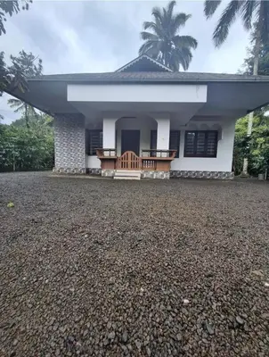 a small white house with a palm tree at Winter Valley Homestay in Vythiri