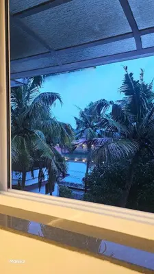 a window with a view of palm trees and water at Kulipini Family Apartment in Irinjālakuda