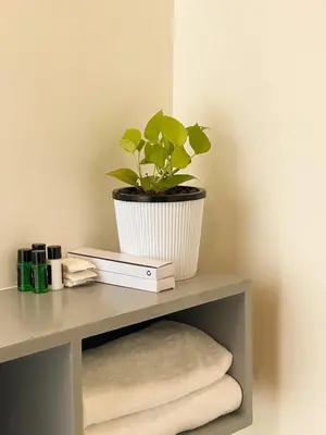 a plant in a pot on a shelf with towels at Crest By Irishighes in Perintalmanna