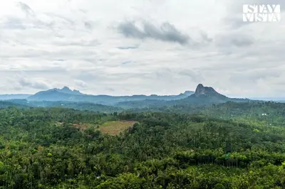a view of a forest with mountains in the background at StayVista at The River Mist with complimentary Breakfast & Bonfire in Wayanad