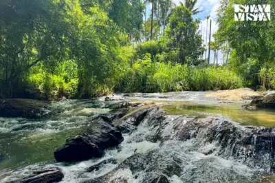 a river with a waterfall in a forest at StayVista at The River Mist with complimentary Breakfast & Bonfire in Wayanad