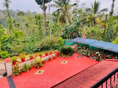 a balcony with a red carpet and potted plants at Cozy Coffee Estate Homestay Coorg Madikeri in Madikeri