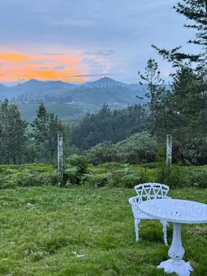 a white bench sitting on top of a grass field at Ozone The Misty Villa - Hill View in Coonoor