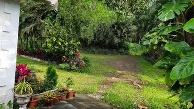 a path in a garden with potted plants at Grace Backwater Villa Coorg in Suntikoppa