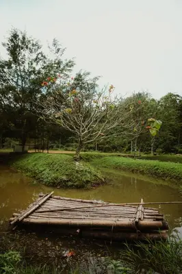 a wooden raft in the water with a tree at Greenex farm Resort in Vythiri
