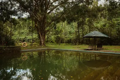 an umbrella and a bench next to a swimming pool at Greenex farm Resort in Vythiri