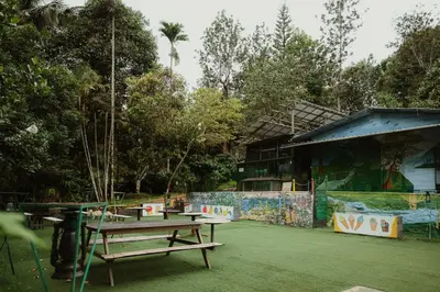 a group of picnic tables in a park at Greenex farm Resort in Vythiri