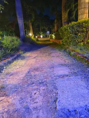 a dirt road at night with palm trees at Plumeria Resort Coorg in Kushālnagar