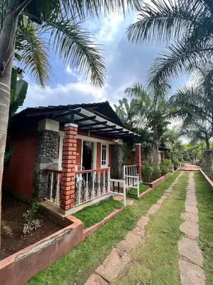a house with a porch and a palm tree at Plumeria Resort Coorg in Kushālnagar