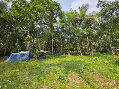 a tent in the middle of a field with trees at The Kadu in Tāzhekkod