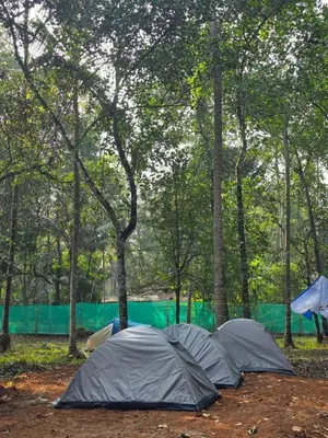 two tents are set up in a forest at The Kadu in Tāzhekkod