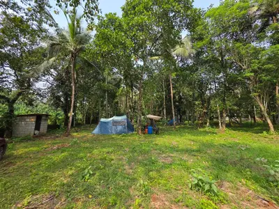 a tent in the middle of a field with trees at The Kadu in Tāzhekkod