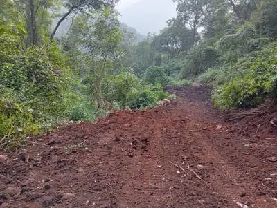 a dirt road in the middle of a forest at Varshini home stay in Kotagiri