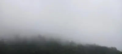 a foggy forest with trees in the background at Varshini home stay in Kotagiri