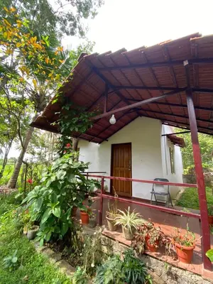 a house with a pergola and some plants at Coorg jungle Cottage in Kushālnagar