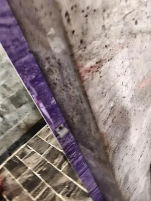 a close up of a purple mattress under a bridge at Hotel Nirmal Cottage Gobichettipalayam in Siruvalūr