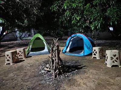 a group of tents in a field with a tree at Mango Bite Farmstay in Pollāchi