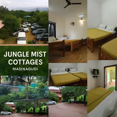 Jungle Mist Cottages