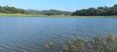 a large body of water with trees in the background at Finca Backwater Homestay in Suntikoppa