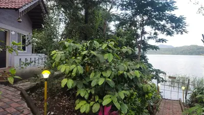 a large plant in front of a house next to the water at Finca Backwater Homestay in Suntikoppa