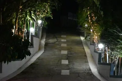 a walkway with palm trees and lights at night at South point in Ammatti