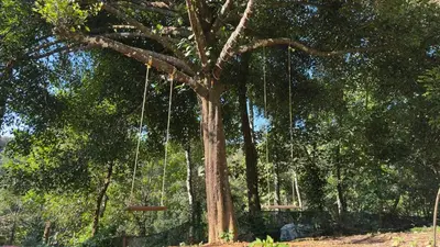 a tree with strings hanging from it in a park at Hima Pool Villa in Padinjarathara